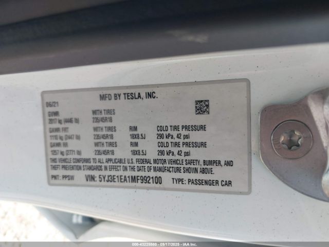 2021 TESLA MODEL 3 5YJ3E1EA1MF992100 Photo 8