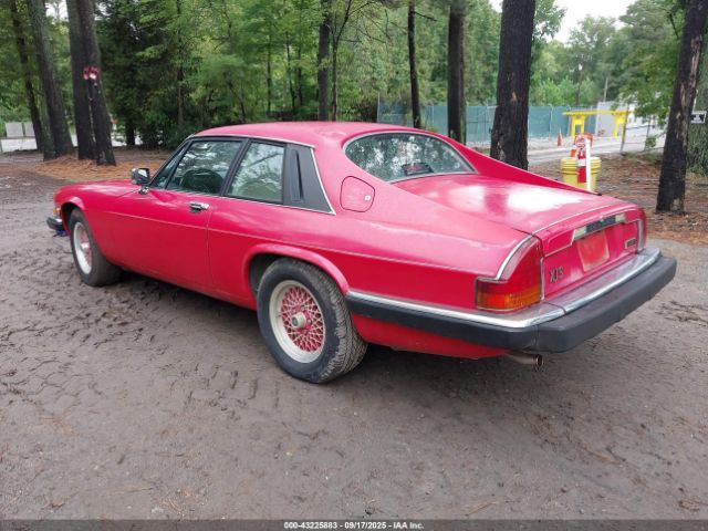 1989 JAGUAR XJS SAJTY584XKC165132 Photo 2