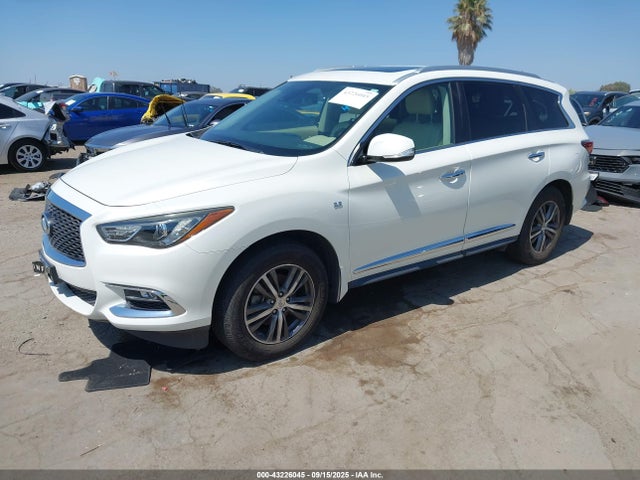5N1DL0MN5KC523834 Infiniti 2019