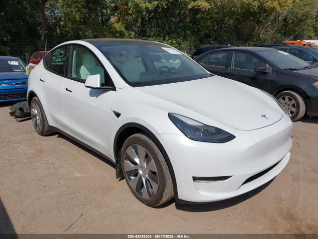 2023 TESLA MODEL Y 7SAYGAEE6PF661250 Photo 0