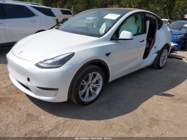 2023 TESLA MODEL Y 7SAYGAEE6PF661250 Photo 1