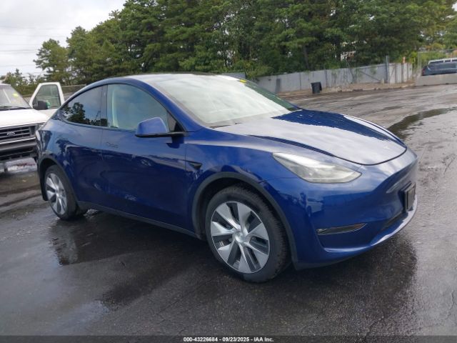 2023 TESLA MODEL Y 7SAYGDEE2PF704306 Photo 0