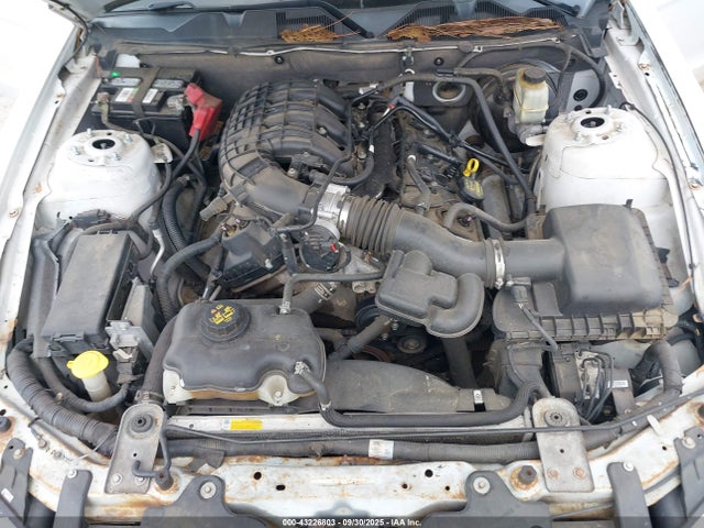 1ZVBP8AM8E5262733 Ford 2014