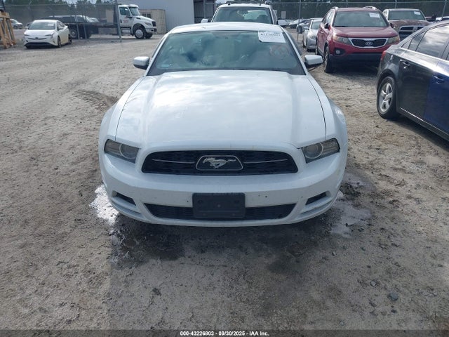 1ZVBP8AM8E5262733 Ford 2014