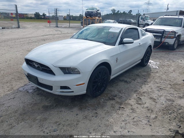 1ZVBP8AM8E5262733 Ford 2014