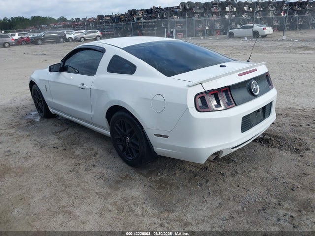 1ZVBP8AM8E5262733 Ford 2014