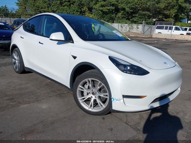 2023 TESLA MODEL Y 7SAYGDEE9PF703931 Photo 0
