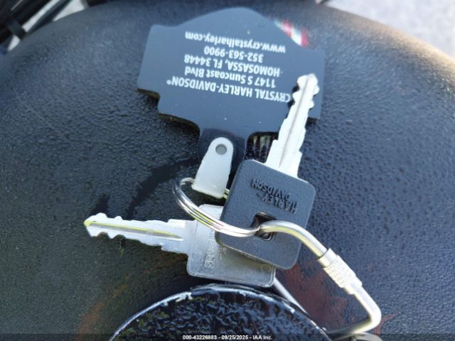 2019 HARLEY-DAVIDSON XL883 1HD4LE212KC433234 Photo 10