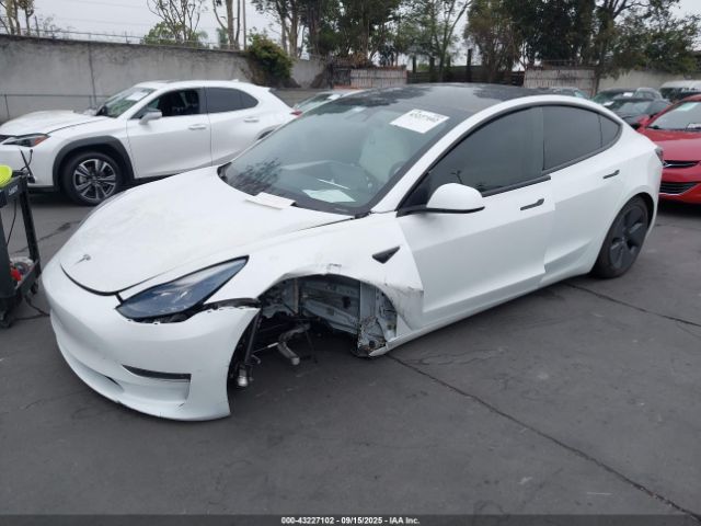 2023 TESLA MODEL 3 5YJ3E1EAXPF551800 Photo 1