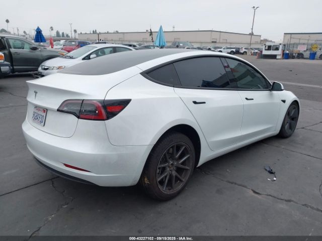 2023 TESLA MODEL 3 5YJ3E1EAXPF551800 Photo 3