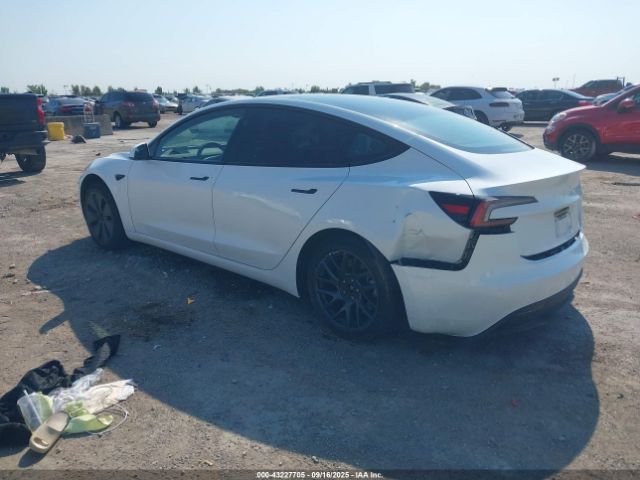 2024 TESLA MODEL 3 5YJ3E1EA3RF833716 Photo 2