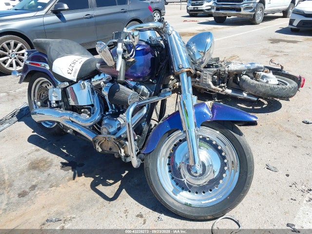 2010 HARLEY-DAVIDSON FLSTF 1HD1BX514AB018854