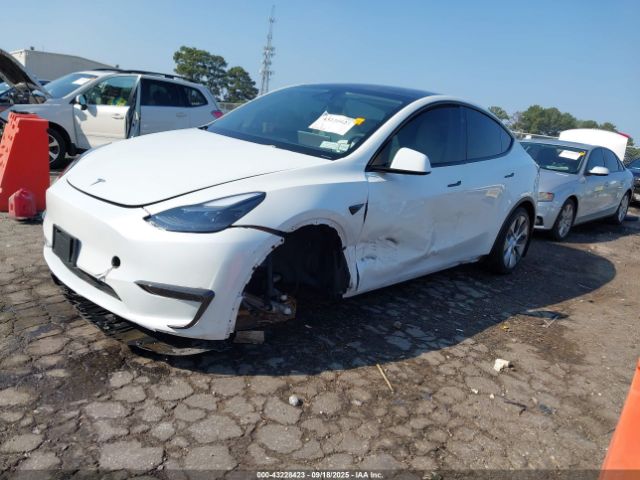 2024 TESLA MODEL Y 7SAYGDED9RF038409 Photo 1