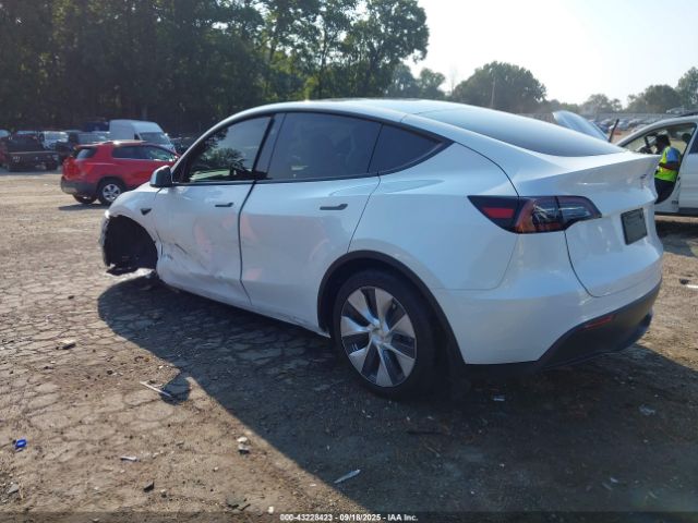 2024 TESLA MODEL Y 7SAYGDED9RF038409 Photo 2