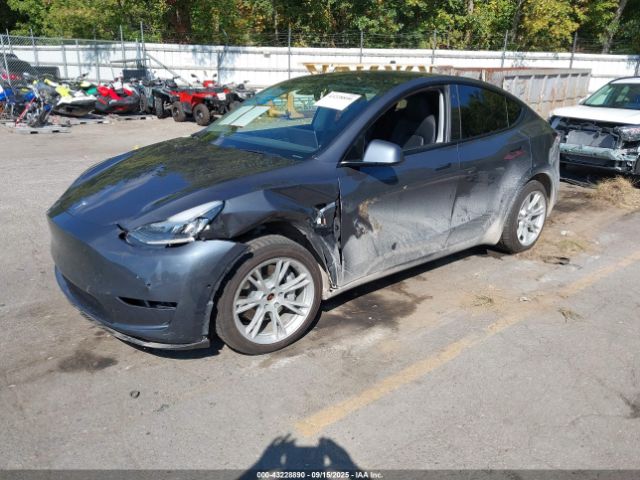 2020 TESLA MODEL Y 5YJYGDEE7LF016339 Photo 1