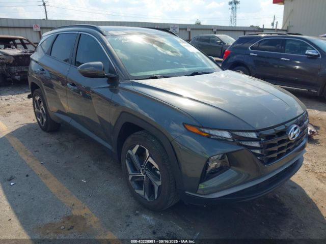 2023 HYUNDAI TUCSON HYBRID KM8JFCA1XPU098268