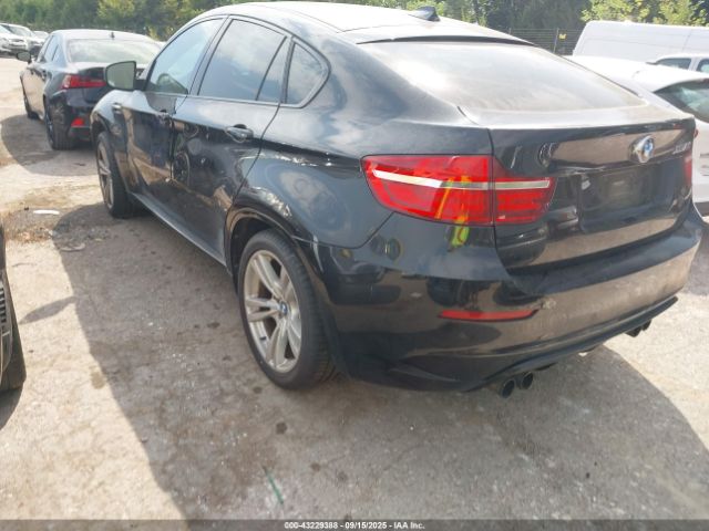 2013 BMW X6 M 5YMGZ0C52D0C40145 Photo 2
