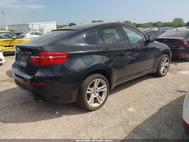 2013 BMW X6 M 5YMGZ0C52D0C40145 Photo 3