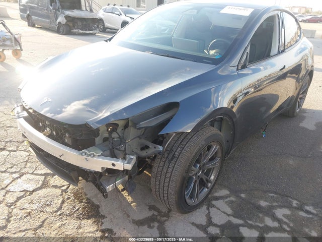 2024 TESLA MODEL Y 7SAYGDEE0RF160746 Photo 5