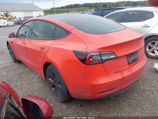2021 TESLA MODEL 3 5YJ3E1EB4MF015011 Photo 2