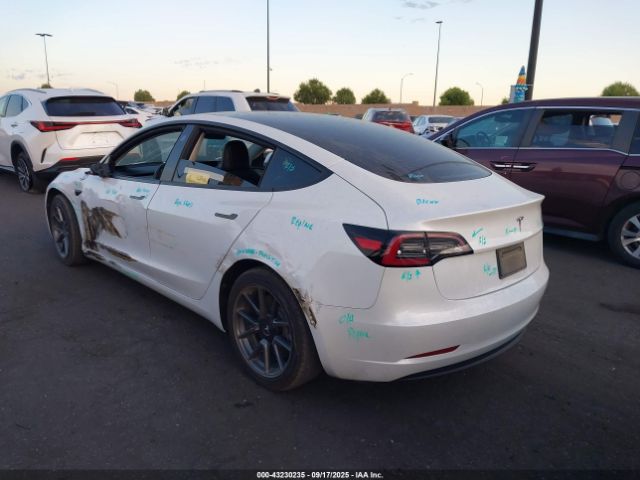 2021 TESLA MODEL 3 5YJ3E1EA3MF981891 Photo 2