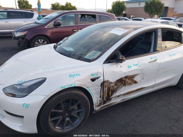 2021 TESLA MODEL 3 5YJ3E1EA3MF981891 Photo 5