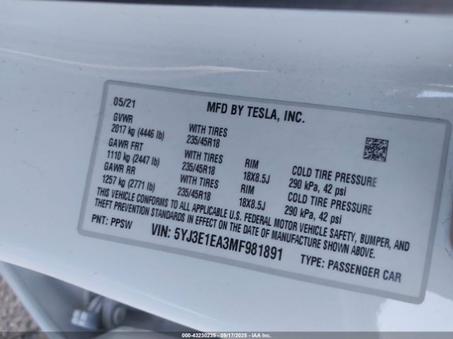 2021 TESLA MODEL 3 5YJ3E1EA3MF981891 Photo 8