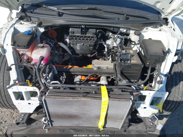 KNDC34LB8N5048512 KIA 2022
