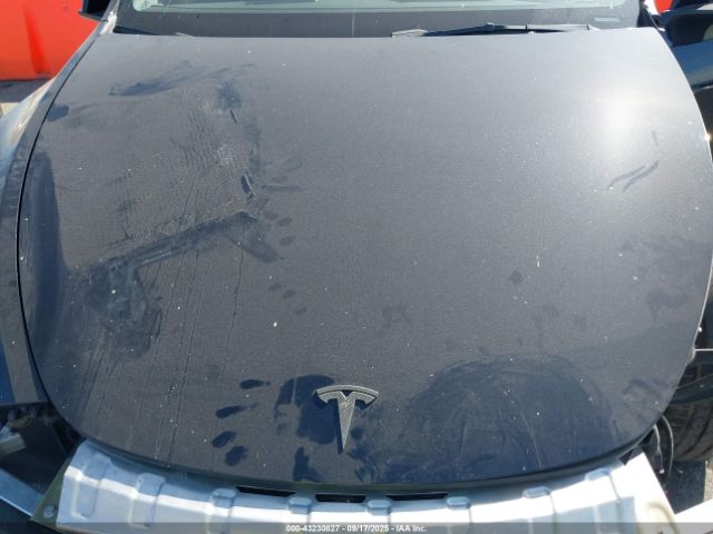 2023 TESLA MODEL Y 7SAYGAEE5PF879096 Photo 9