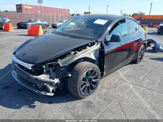 2023 TESLA MODEL Y 7SAYGAEE5PF879096 Photo 1