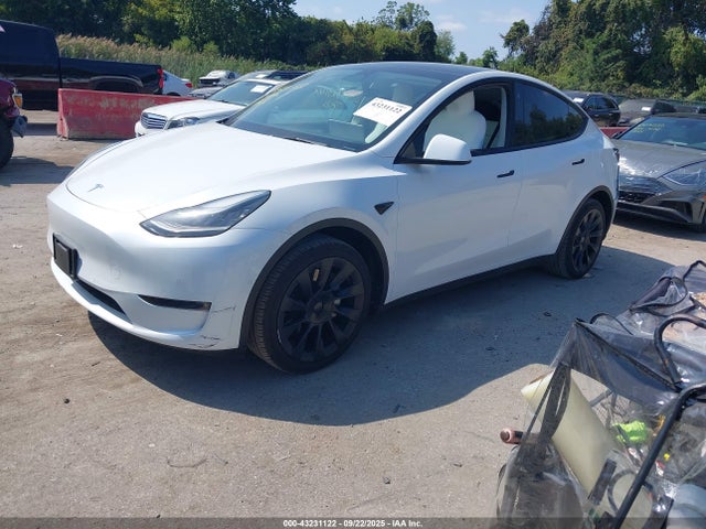 2023 TESLA MODEL Y 7SAYGAEE9PF590190 Photo 1