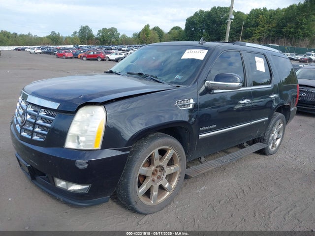 2010 CADILLAC ESCALADE 1GYUKCEF8AR179731 Photo 1