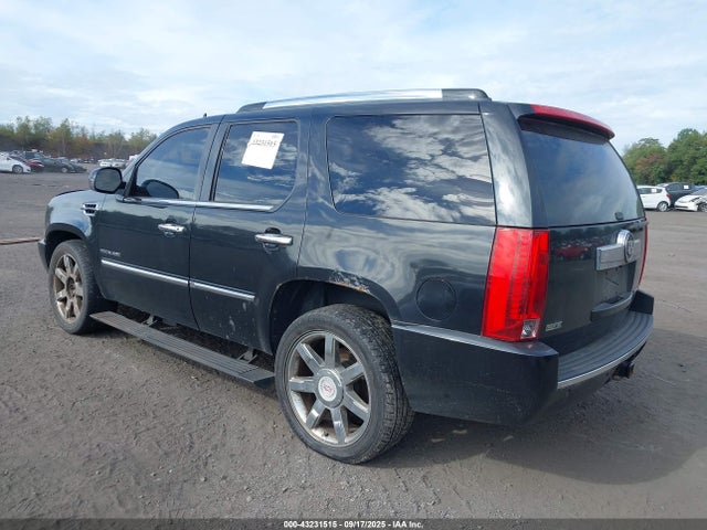 2010 CADILLAC ESCALADE 1GYUKCEF8AR179731 Photo 2
