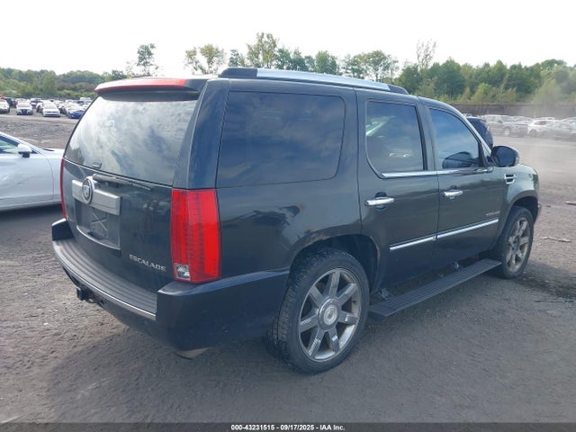 2010 CADILLAC ESCALADE 1GYUKCEF8AR179731 Photo 3