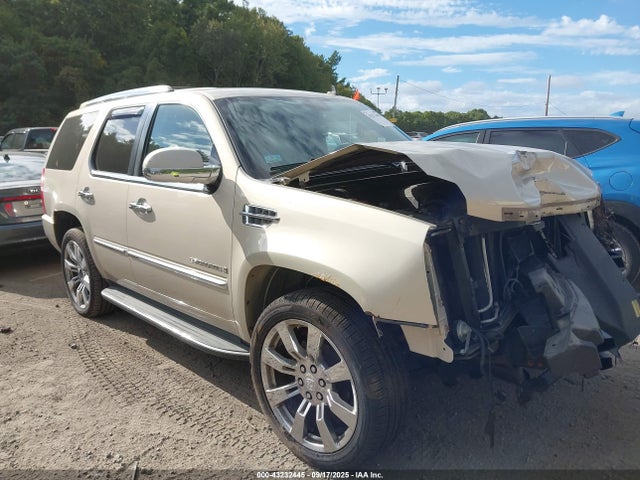2009 CADILLAC ESCALADE 1GYFK23219R230274 Photo 0