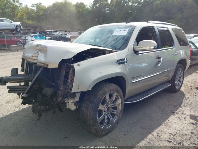 2009 CADILLAC ESCALADE 1GYFK23219R230274 Photo 1