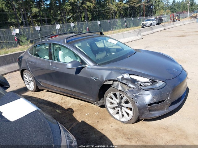 Tesla 2019 2019 5YJ3E1EB2KF192668 Image 12