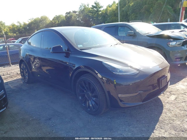 2023 TESLA MODEL Y 7SAYGDEE9PF880253 Photo 0