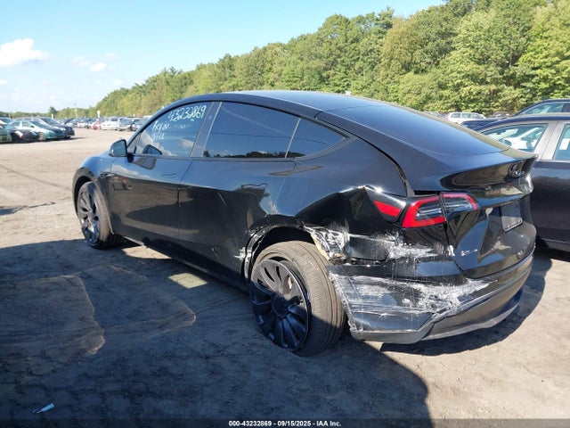 2023 TESLA MODEL Y 7SAYGDEE9PF880253 Photo 2