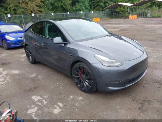 2023 TESLA MODEL Y 7SAYGDEFXPF617908 Photo 0