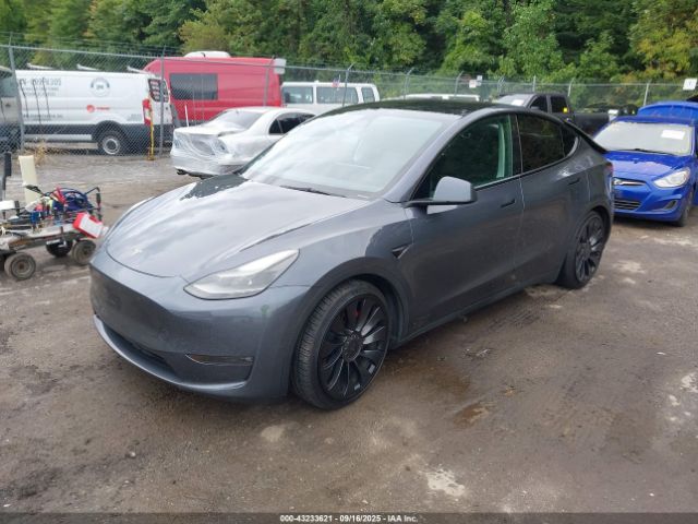 2023 TESLA MODEL Y 7SAYGDEFXPF617908 Photo 1