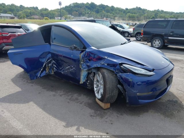 2021 TESLA MODEL Y 5YJYGAEE5MF232691 Photo 0