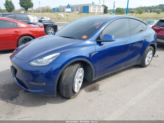 2021 TESLA MODEL Y 5YJYGAEE5MF232691 Photo 1