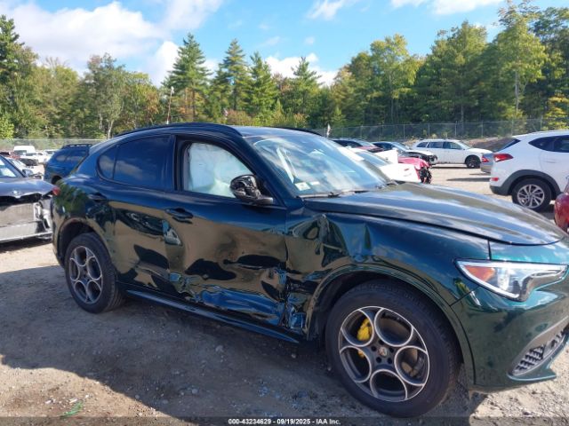 2020 ALFA ROMEO STELVIO ZASPAKAN2L7C91783 Photo 5