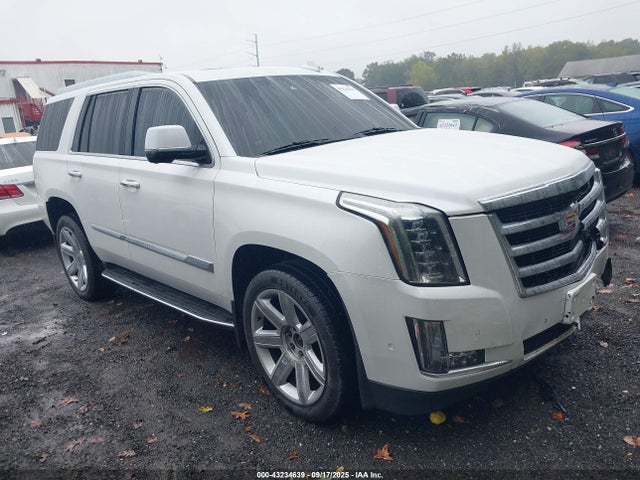 2019 CADILLAC ESCALADE 1GYS4BKJ7KR310217 Photo 0
