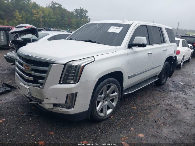 2019 CADILLAC ESCALADE 1GYS4BKJ7KR310217 Photo 1