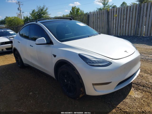 2020 TESLA MODEL Y 5YJYGDEE1LF010097 Photo 0