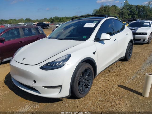 2020 TESLA MODEL Y 5YJYGDEE1LF010097 Photo 1