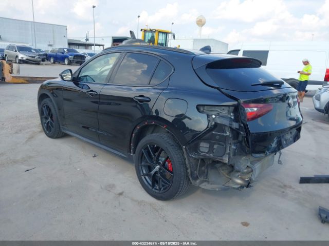 2020 ALFA ROMEO STELVIO ZASPAJAN6L7C90971 Photo 2