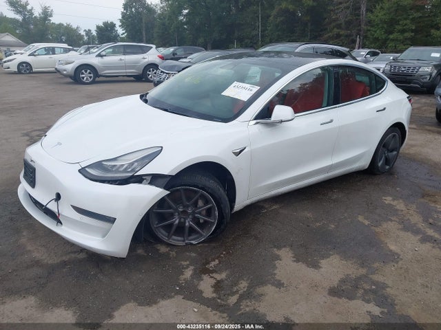 2019 TESLA MODEL 3 5YJ3E1EA1KF318011 Photo 1